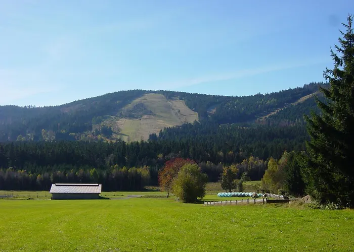 Pension und Ferienwohnungen König